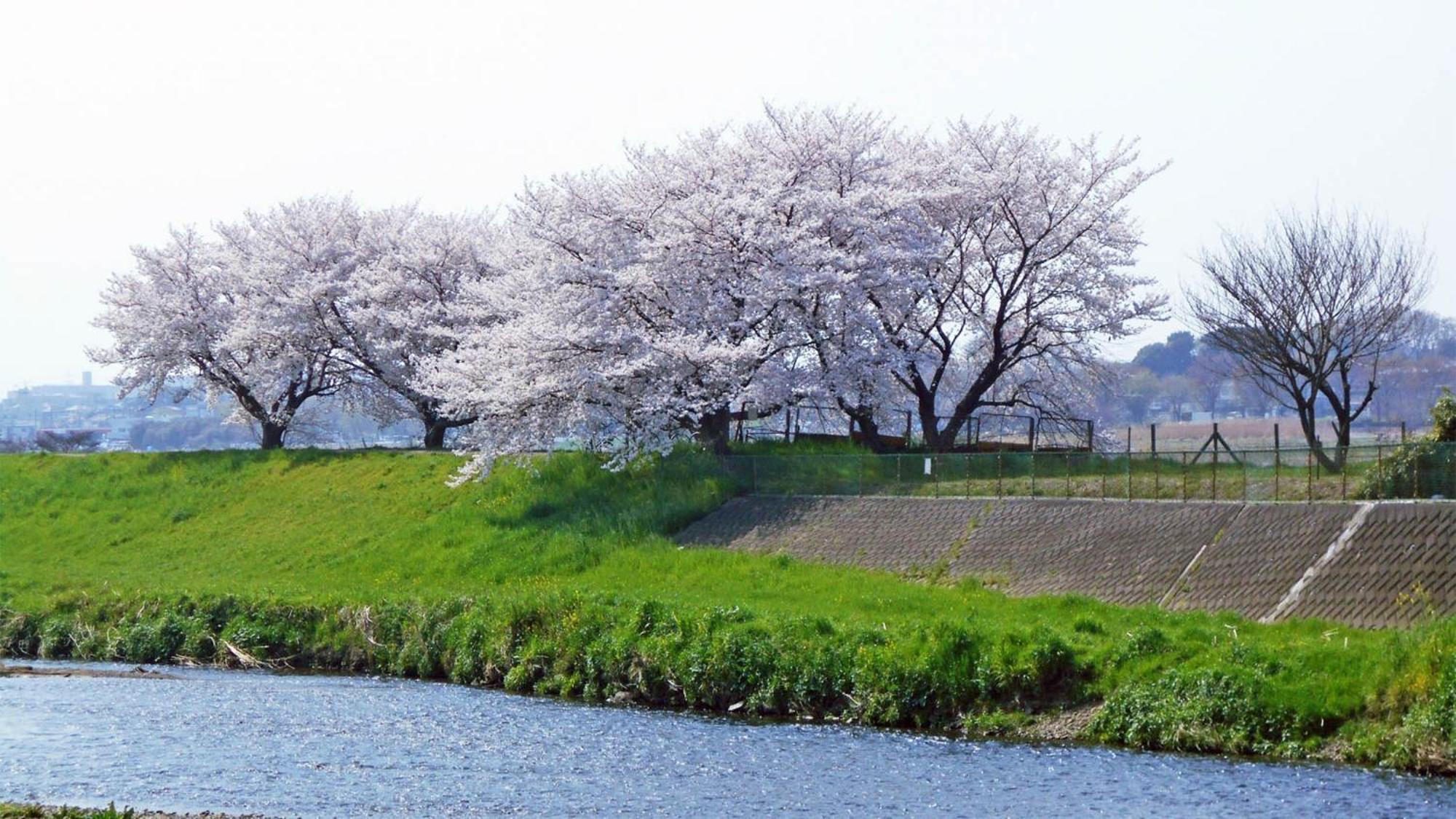 Toyoko Inn Shiki Eki Higashi Guchi Ngoại thất bức ảnh